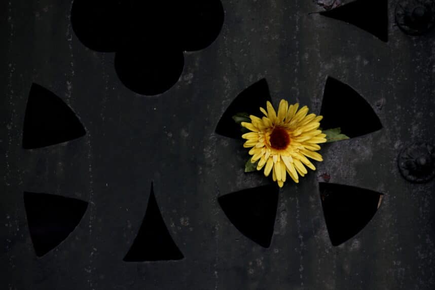 fleur